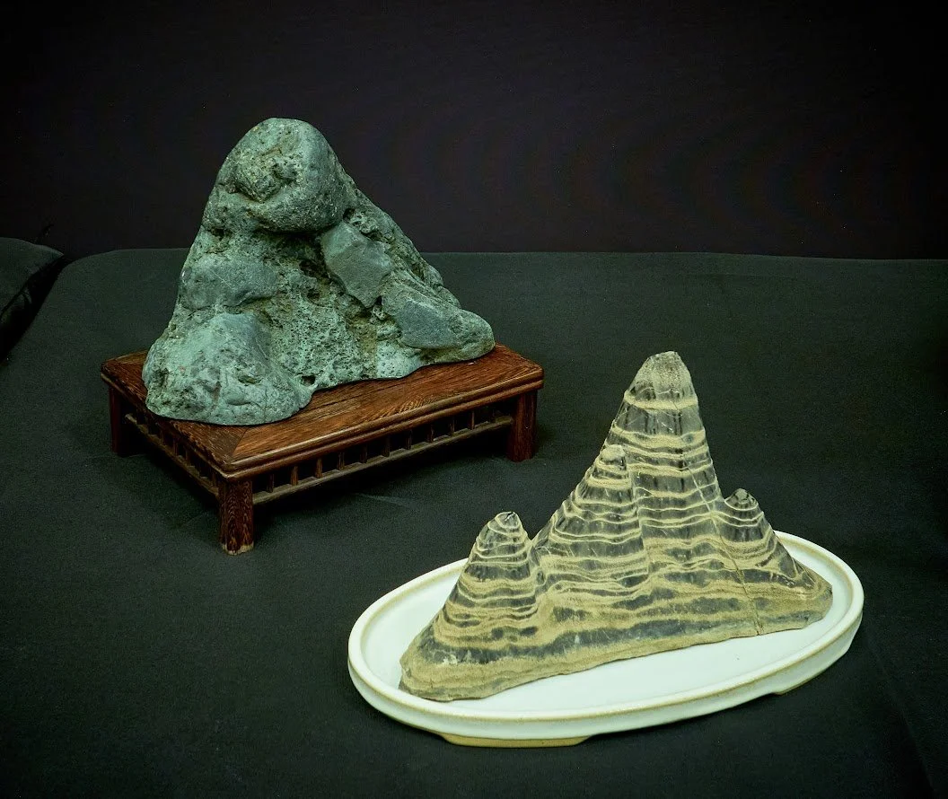 Suiseki (Viewing Stone) - Japanese art of appreciating stones shaped by wind and water.