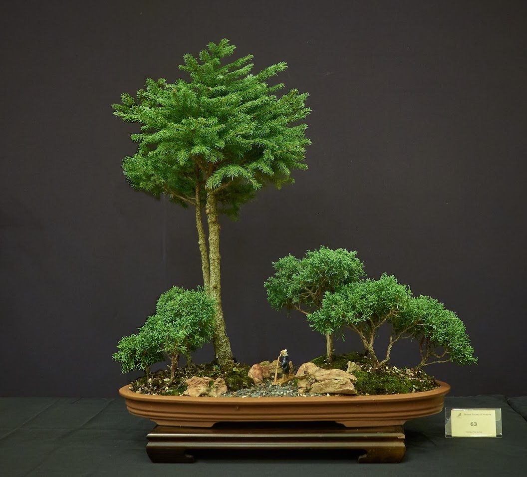 Shimpaku Juniper (Juniperus Sargentii) - Chinese penjing landscape featuring father and son fisherman.