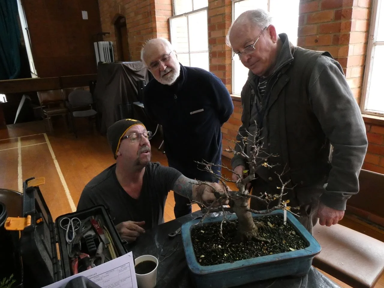 Growing Eucalypts