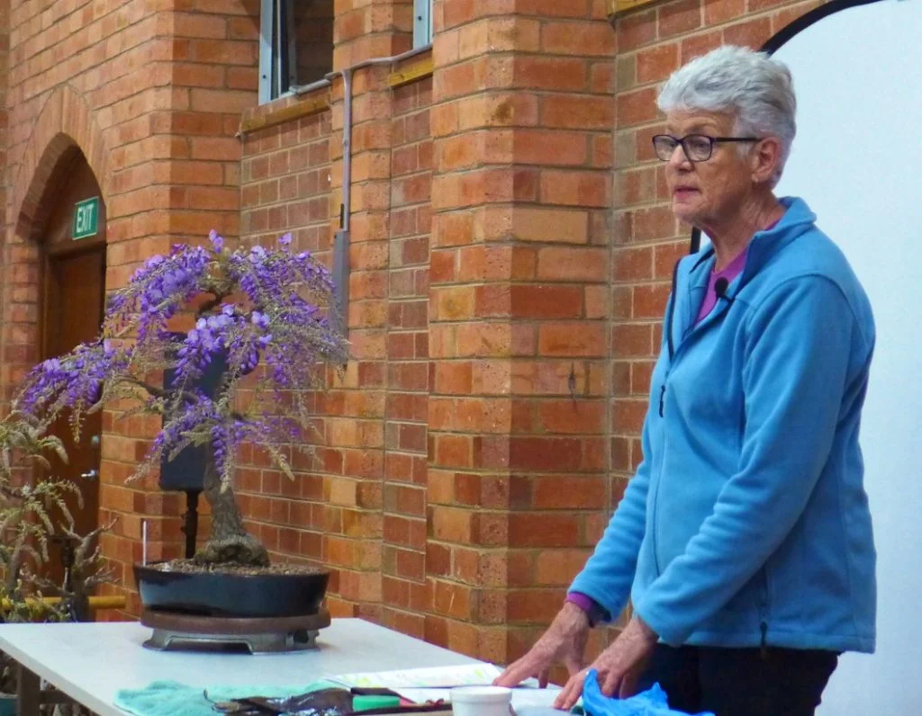 Annalea discussing Wisterias