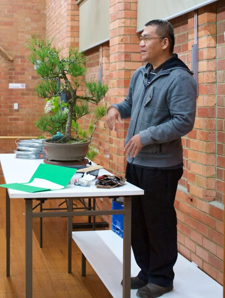 Tien talking about the planned styling of this Black Pine.