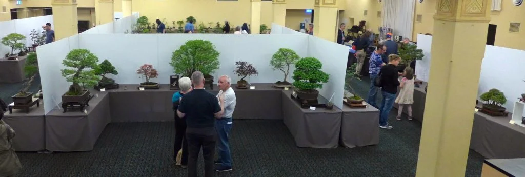 Overview of the Exhibition