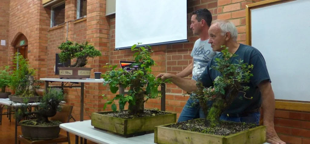 John & Dave talking about Yamadori