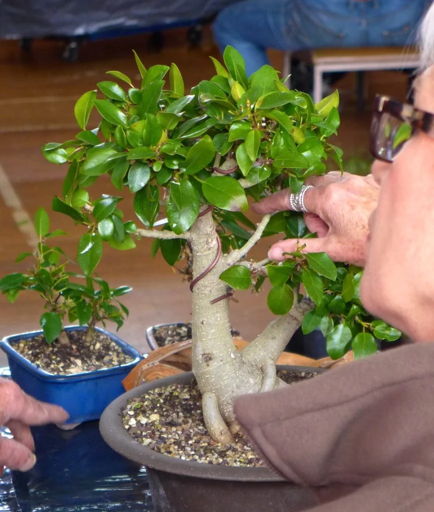 Don indicating which branches are not required for this style.
