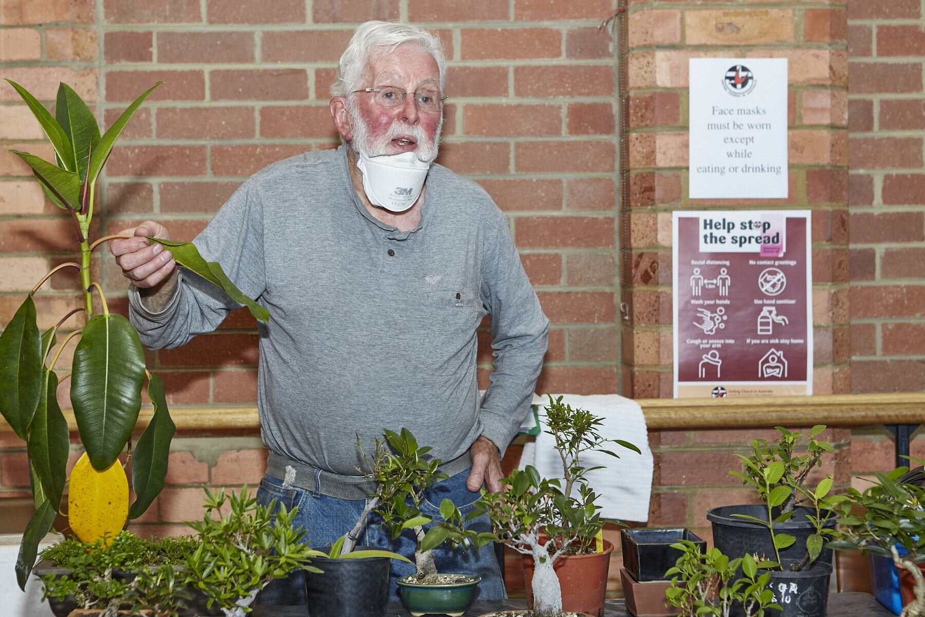 January Weekend Workshop: Figs