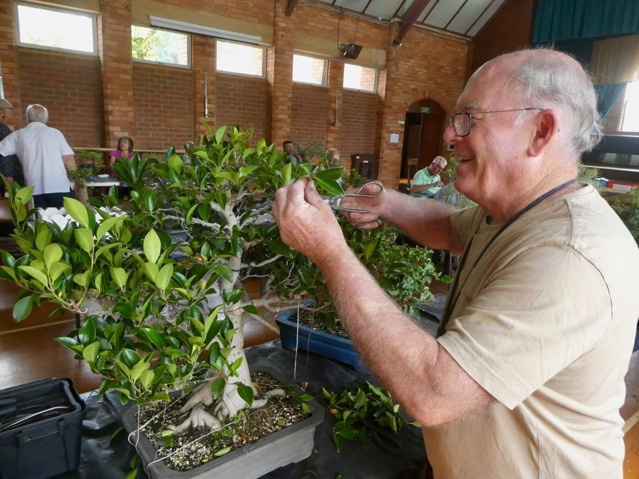 Kunzea Demonstration