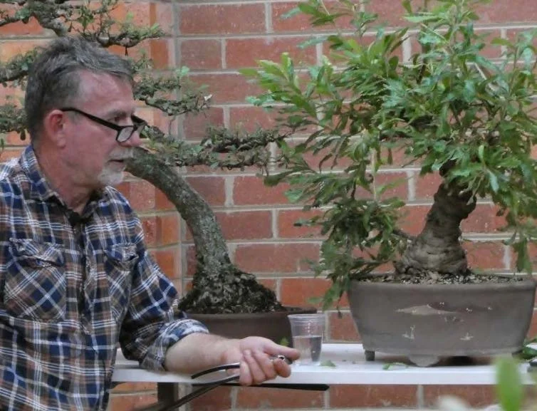 Banksias with Craig Wilson