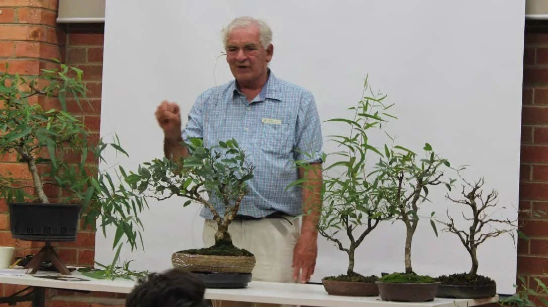 Eucalypts with Kevin Ritchie  