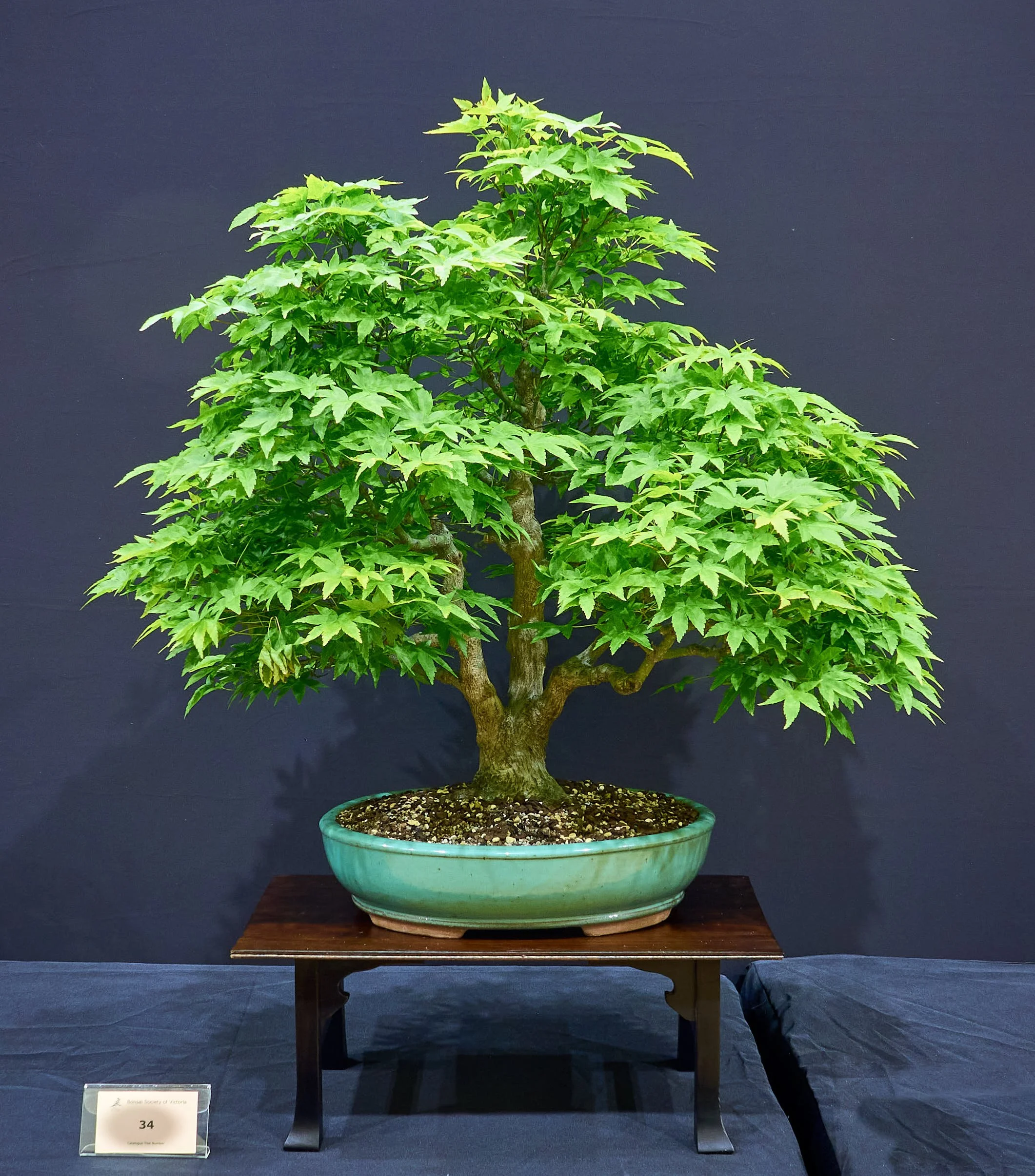 Best Fertilizing Methods