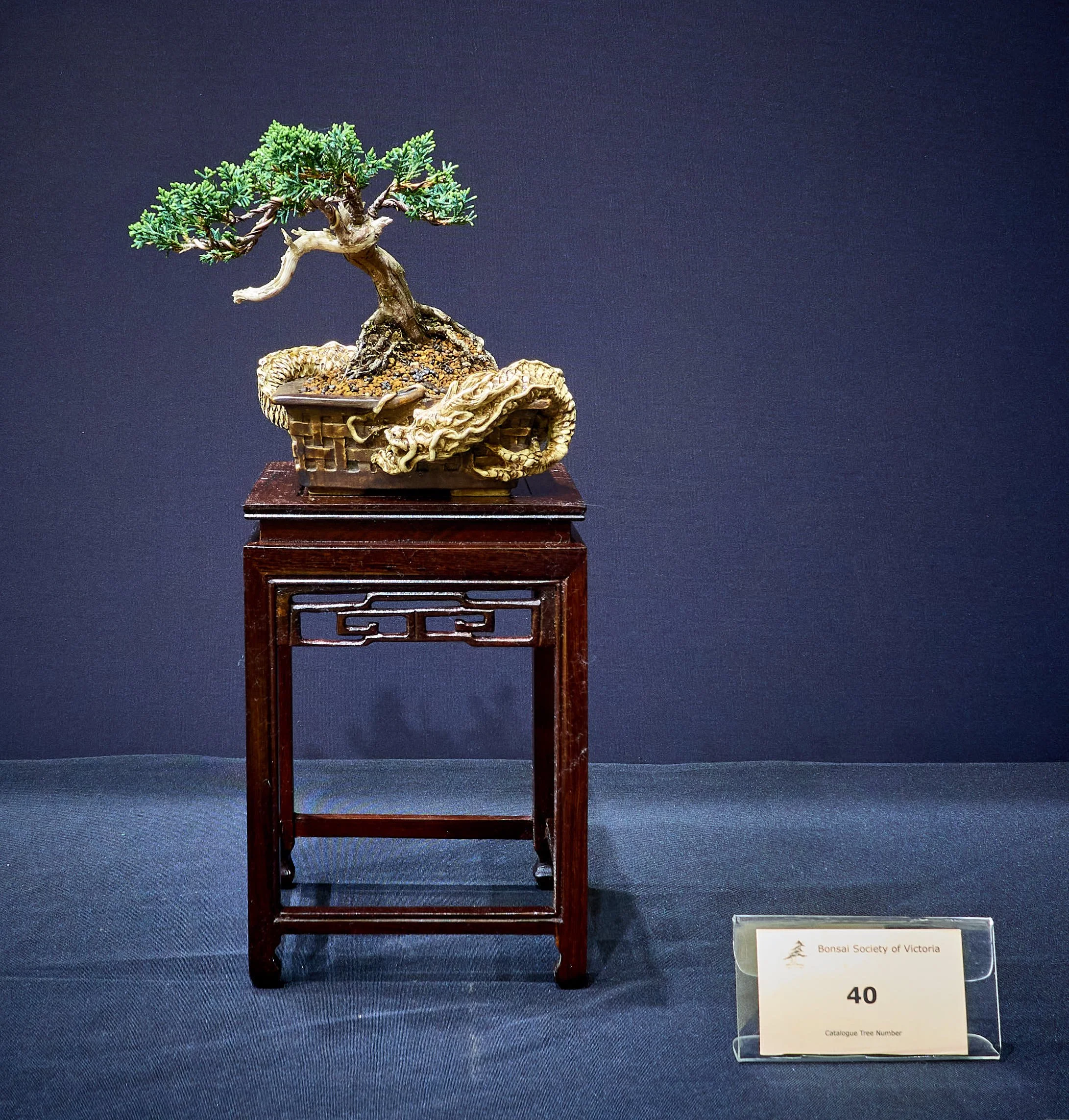 Choosing the best stand for your tree