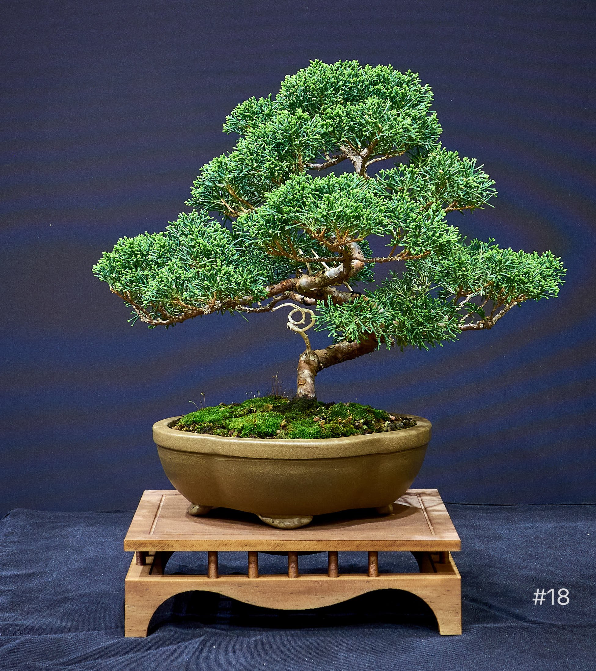 Sales Day &amp; Christmas Workshop