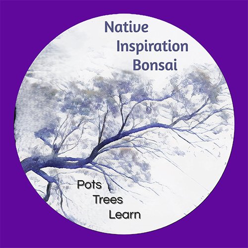 Native Inspiration Bonsai.jpg
