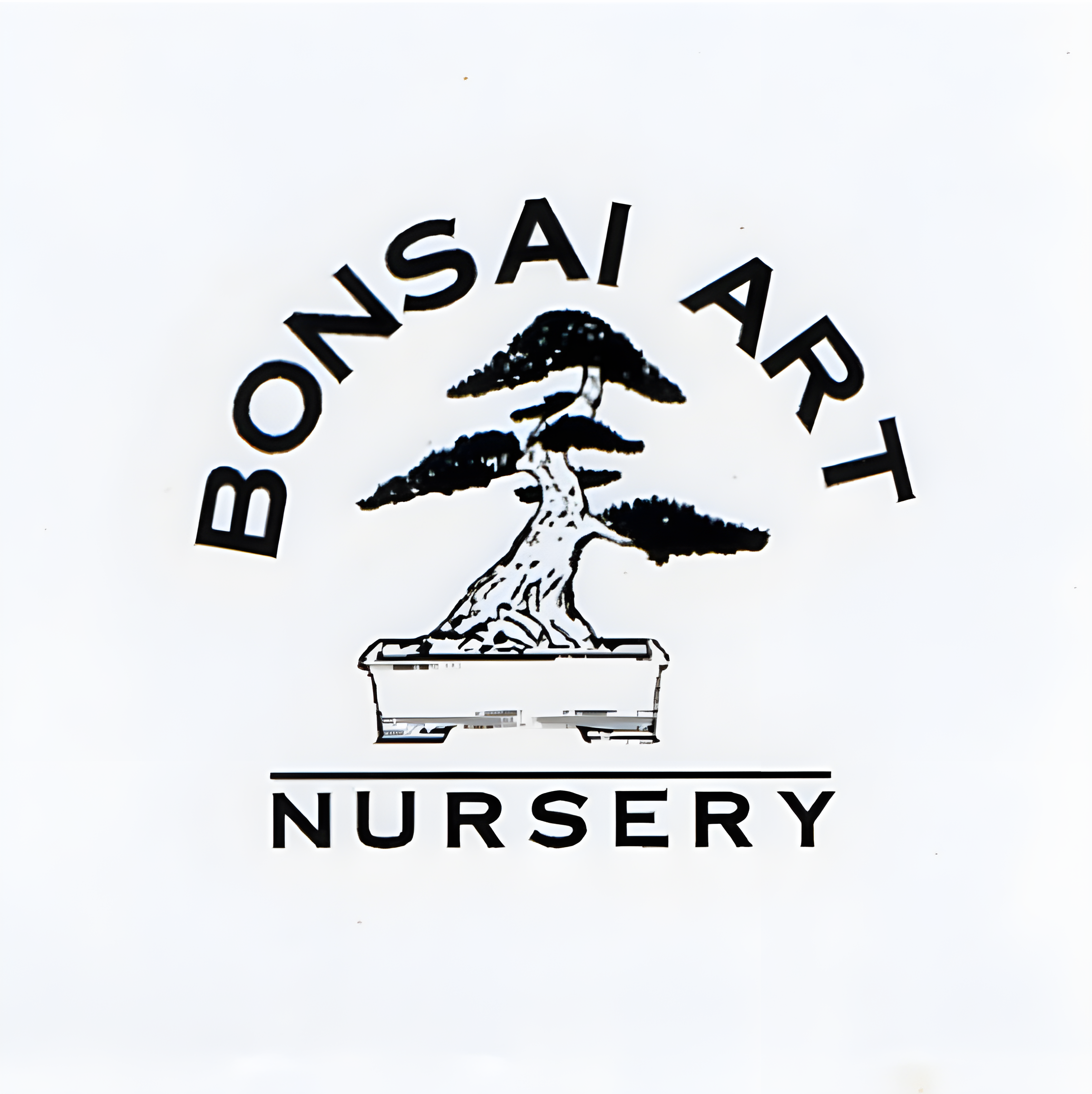 Bonsai Art Logo (upscaled).png