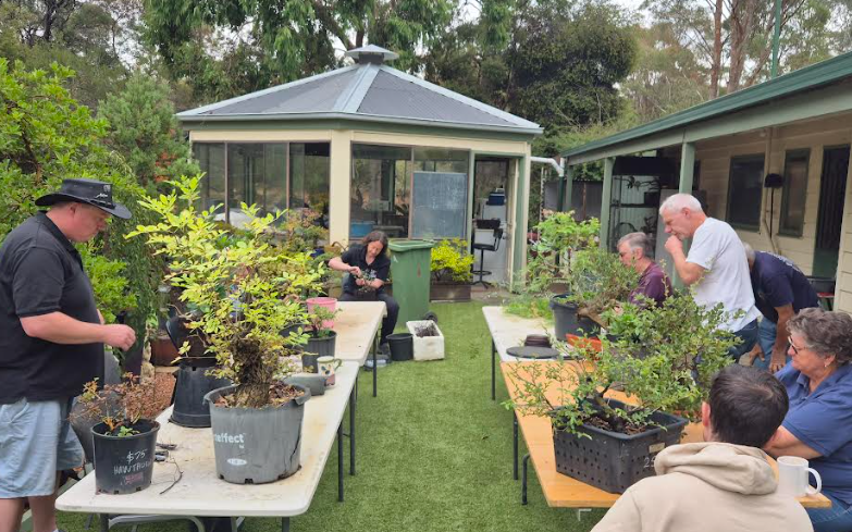 Moongate Bonsai Nursery Tour &amp; Workshop