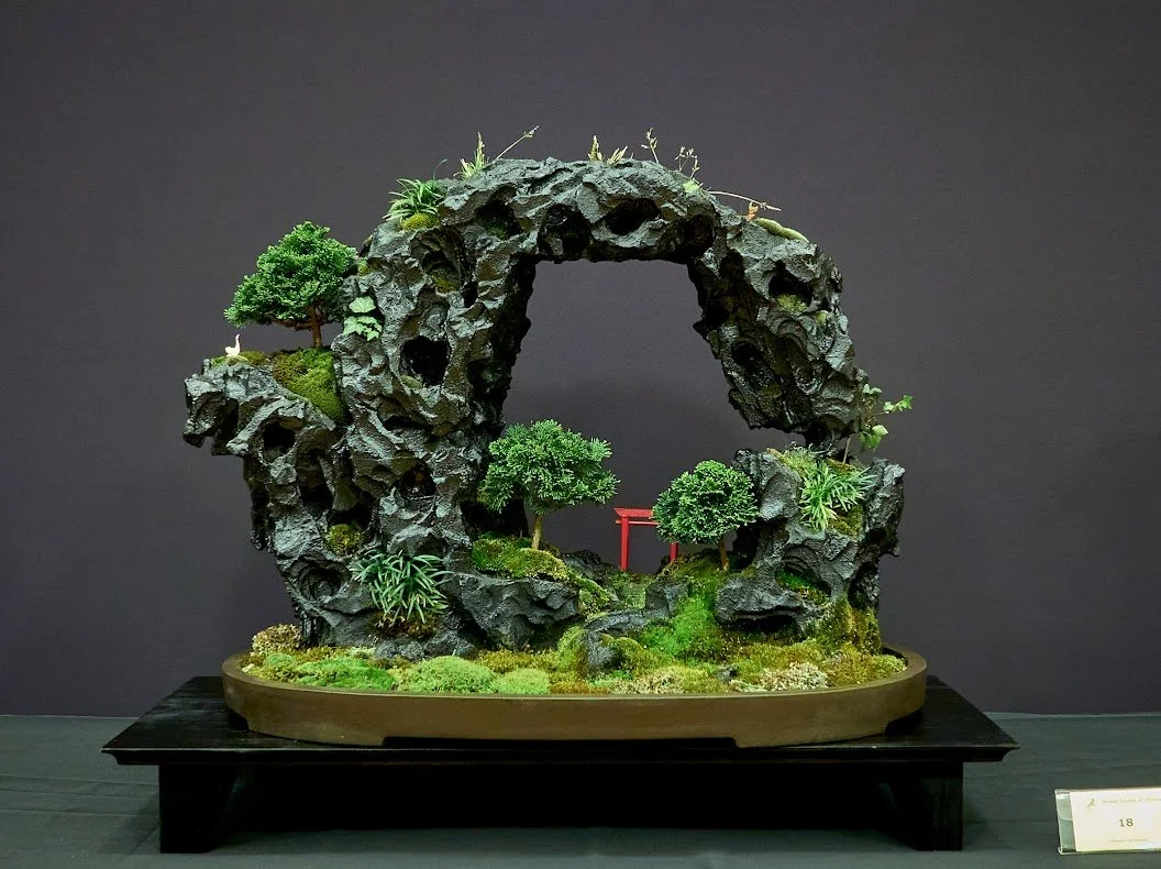 Cypress (Chamaecyparis Obtusa "Hinoki") - Chinese style penjing rock planting. Assorted moss and grasses.