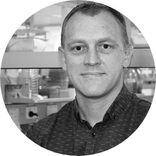 Professor Brett Collins