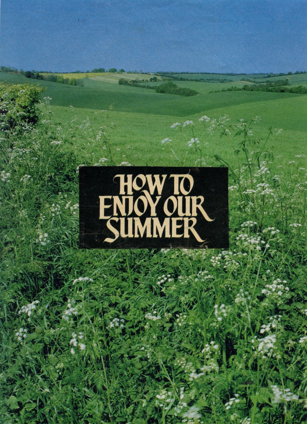How To Enjoy Our Summer