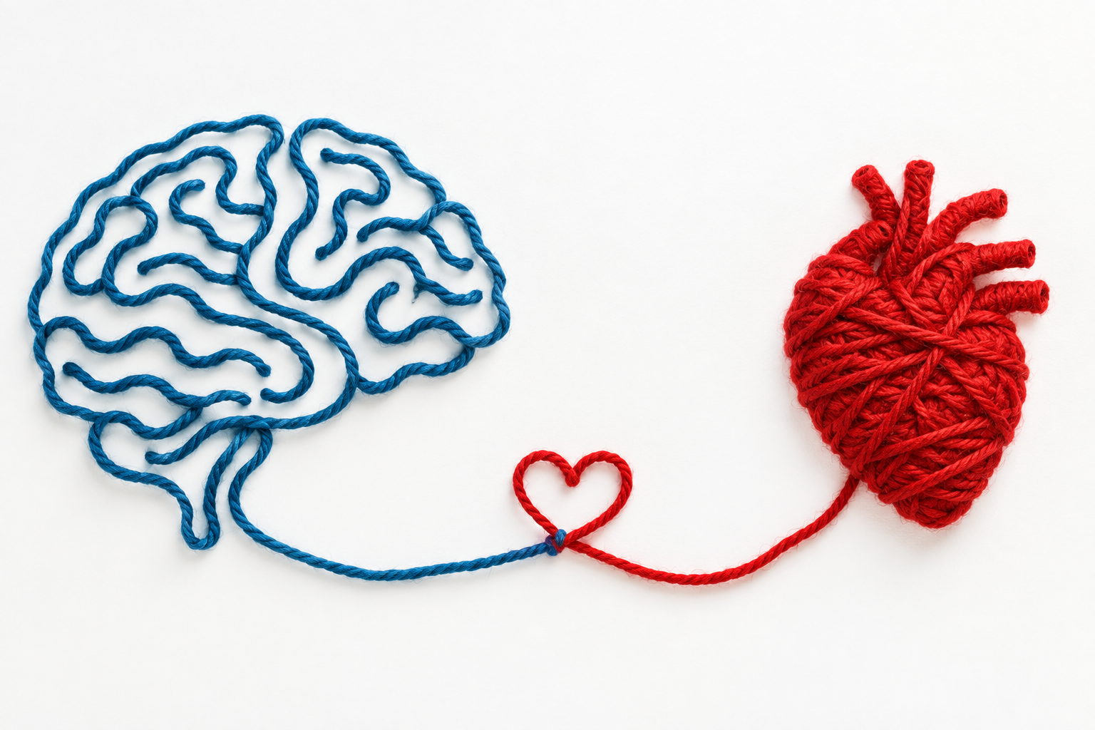 Comment développer votre intelligence émotionnelle ?