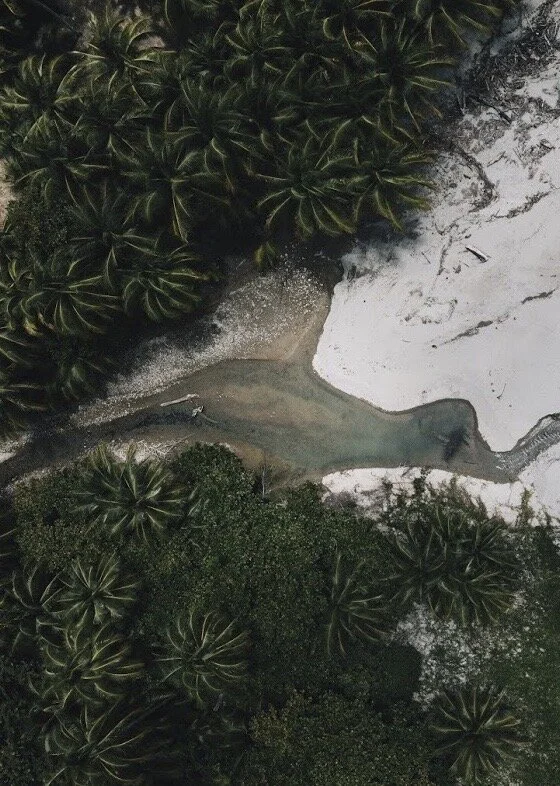 Live Conversation on Mindfulness with Diego Dosal 