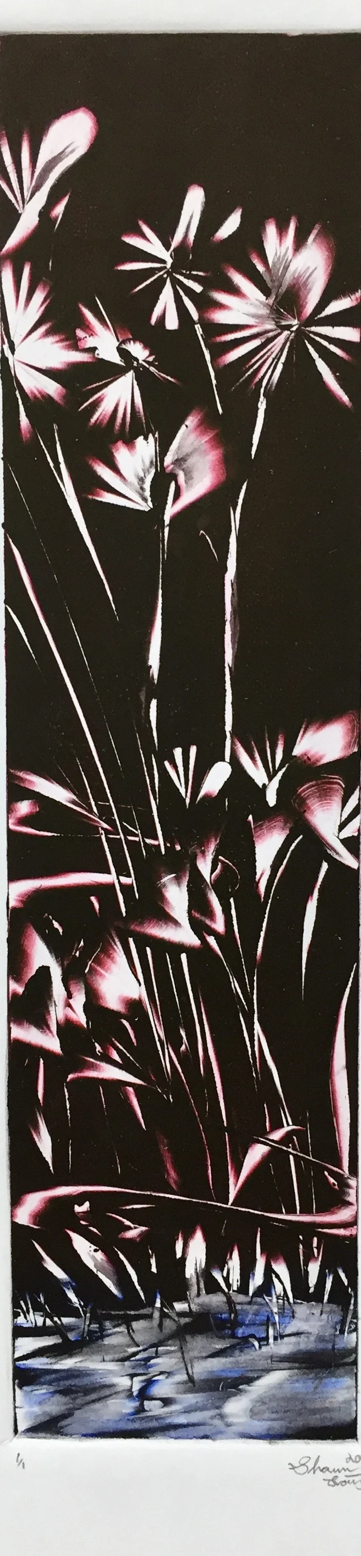 flowers and weeds series black on red and blue2019.jpeg