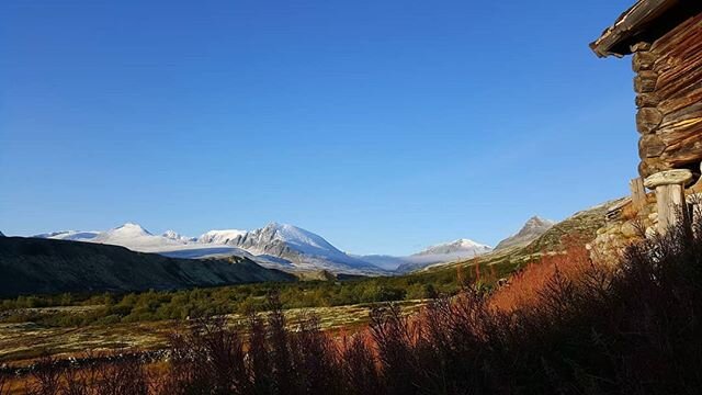 Hold ut
Hold sammen
Sl&aring; ring om det vakre som fins
Sl&aring; ring om hverandre
Sl&aring; ring om din bror
Og alt det som spirer og gror.
J. Teigen.
#holdut #norskefjell  #nedred&oslash;r&aring;lseter  #dreamnowvisitlater
#mountains #rondanenati