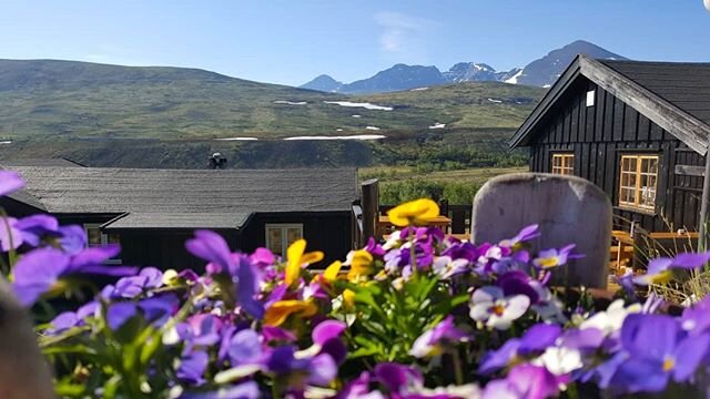 Fine dager i fjellet.
Vakkert i D&oslash;r&aring;len n&aring;.
#nedred&oslash;r&aring;lseter
#d&oslash;r&aring;len #rondane #utsikttilrondane #juni #fjellferie #fjell #utno  #turisthytte  #turglede  #norskefjell  #norgesferie #norge #sommer2020 #hygg