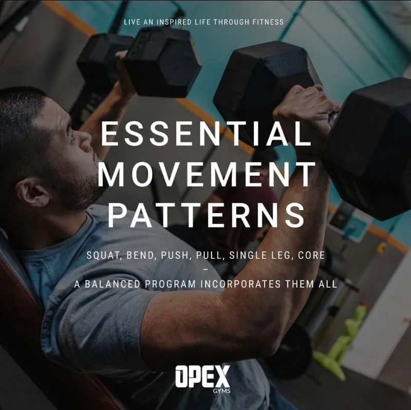 The Essential Movements Patterns FOR Great Fitness
