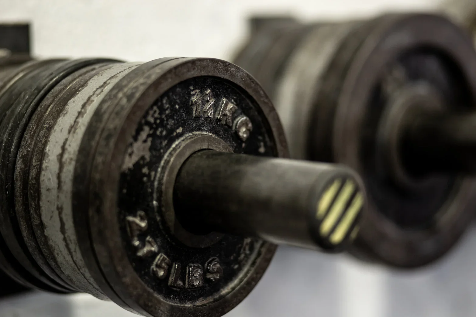weights-closeup.webp