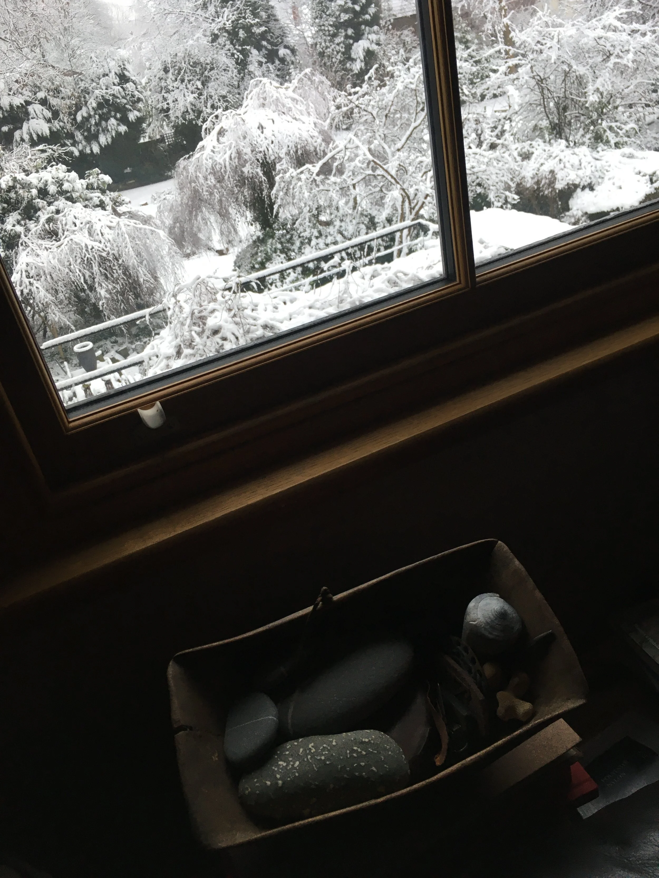 snow-thru-window.jpg