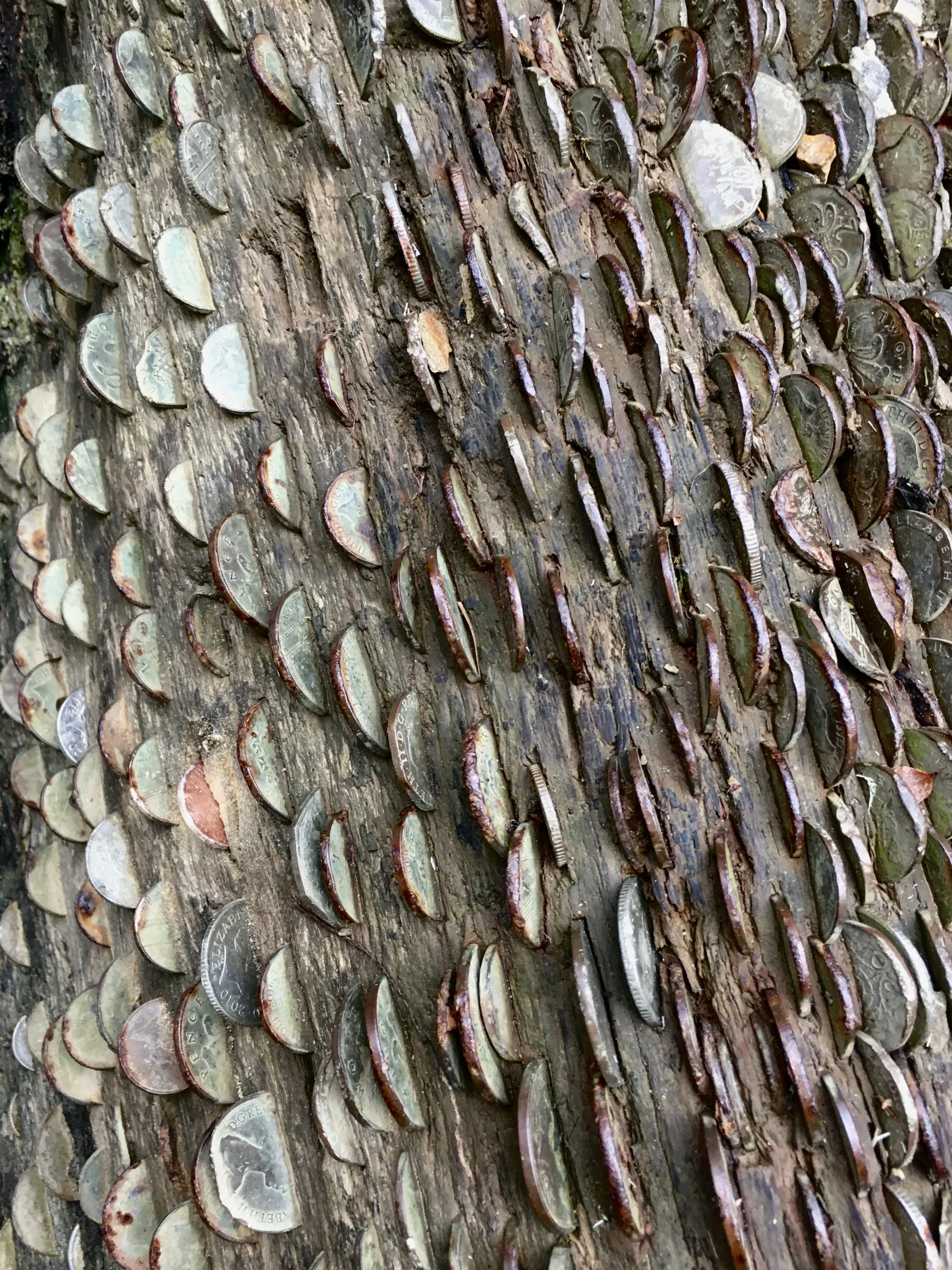log-coins.JPG