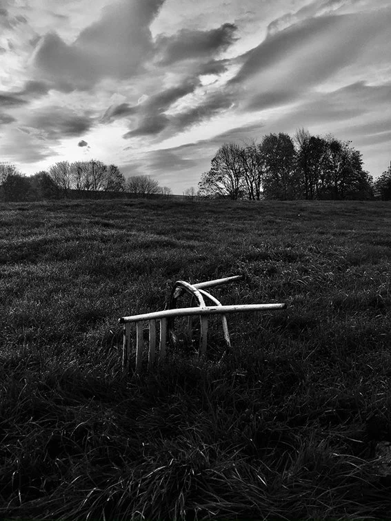 chair-in-field.jpg