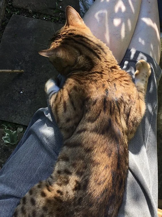 munx-on-knees.jpg