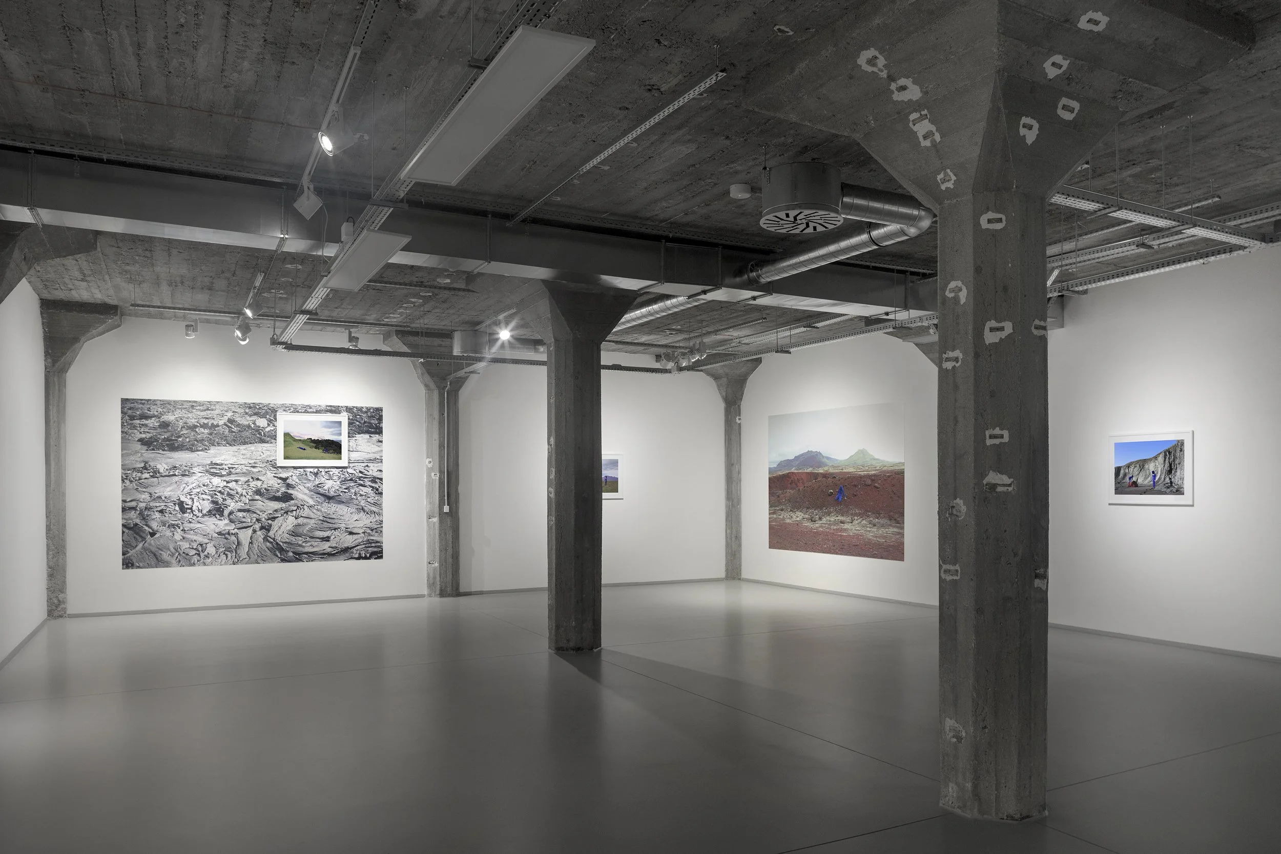 Blueberry Fields-Vilma Leino  (1).JPEG