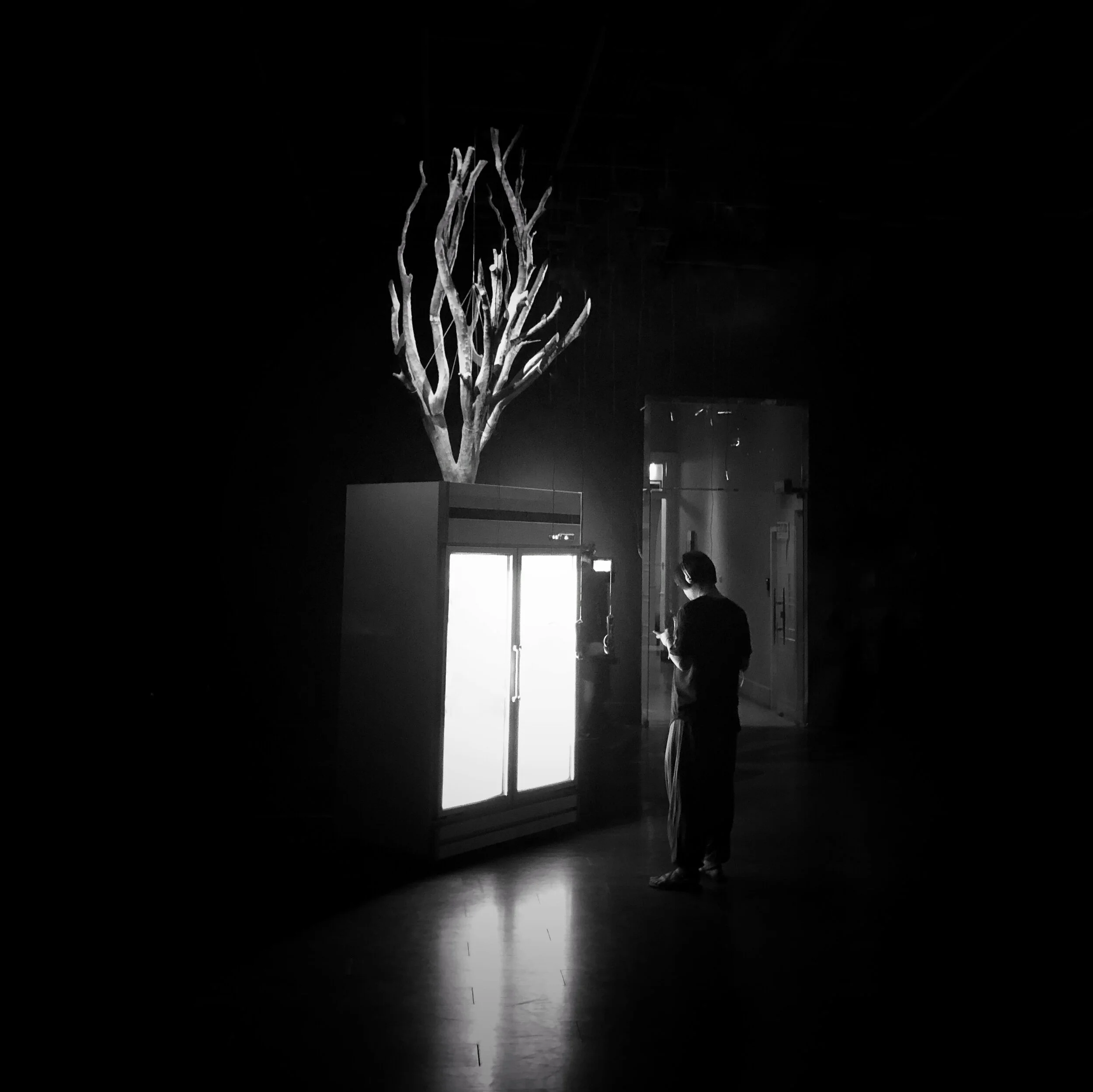 deadtreesing.JPG