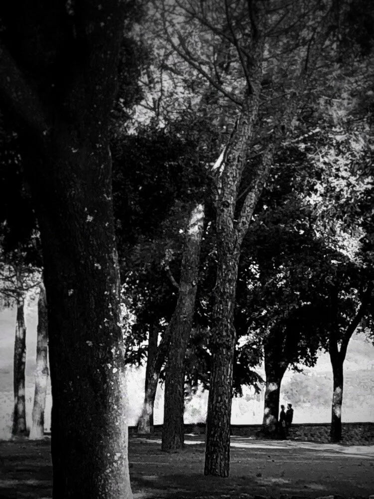 whispersinthewoods-screen.JPG