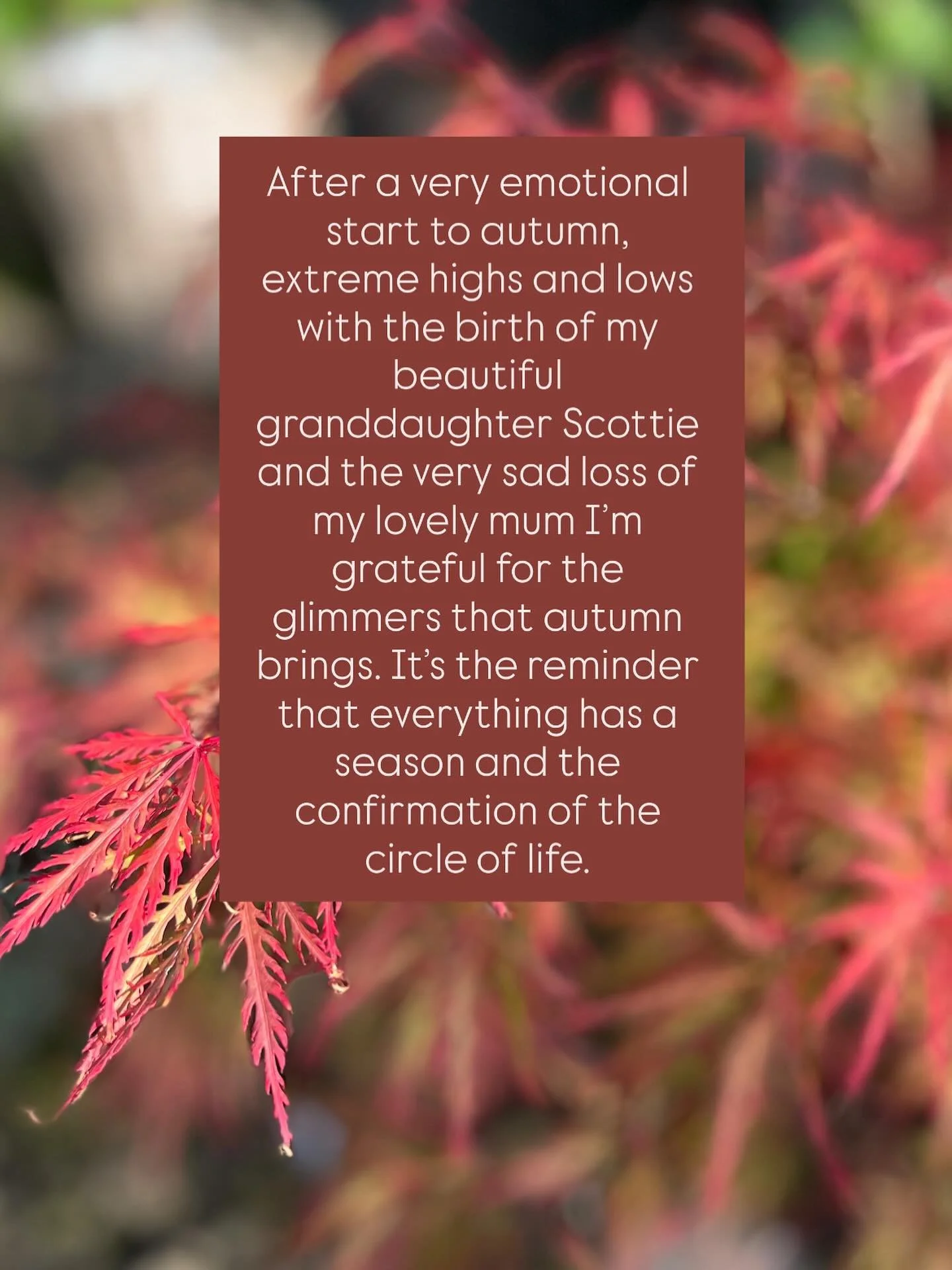 Being a private person and definitely not an over sharer it&rsquo;s hard to open up on here. But I feel like I owe my lovely loyal customers an explanation other than I&rsquo;m not accepting orders for a couple of weeks. Autumn is a time that reminds