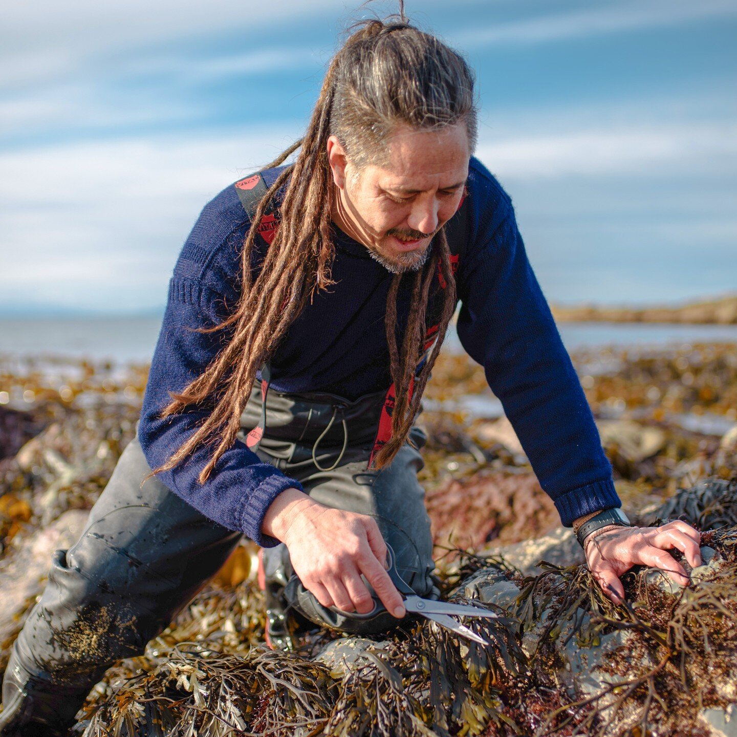 Jayson Byles is a passionate wild forager here in the East Neuk of Fife who brought us the sea breeze notes to our latest limited edition gin, Coastal Haar. We used Jayson's sugar kelp harvest in our vapour basket during production process to emulate