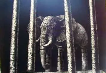  Four Poles of Intelligence