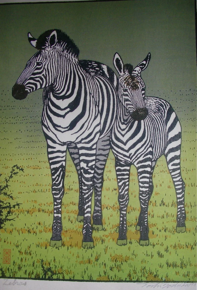 Zebras