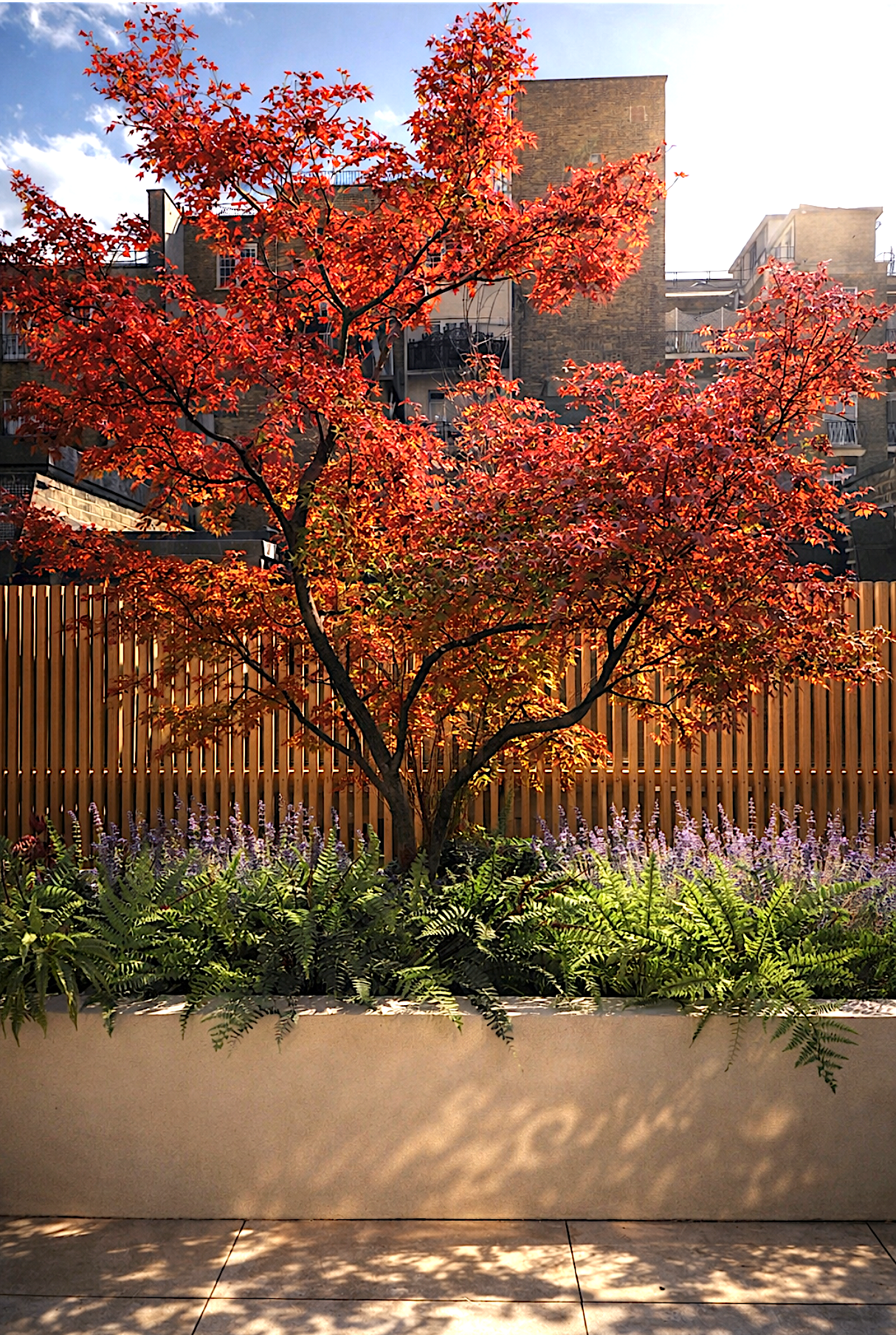 my-project-page-1(6) copy.png