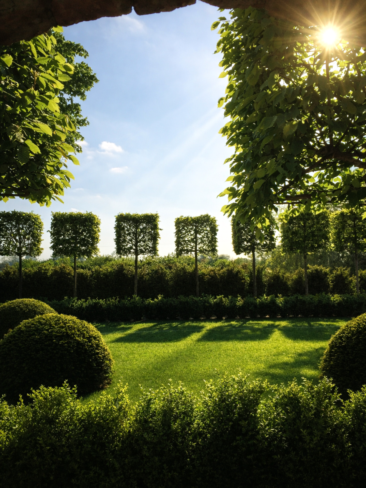 my-project-page-1(29) copy 2.png