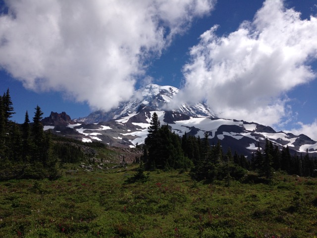 IMG_4952.jpeg