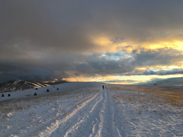 IMG_7698-1.jpeg
