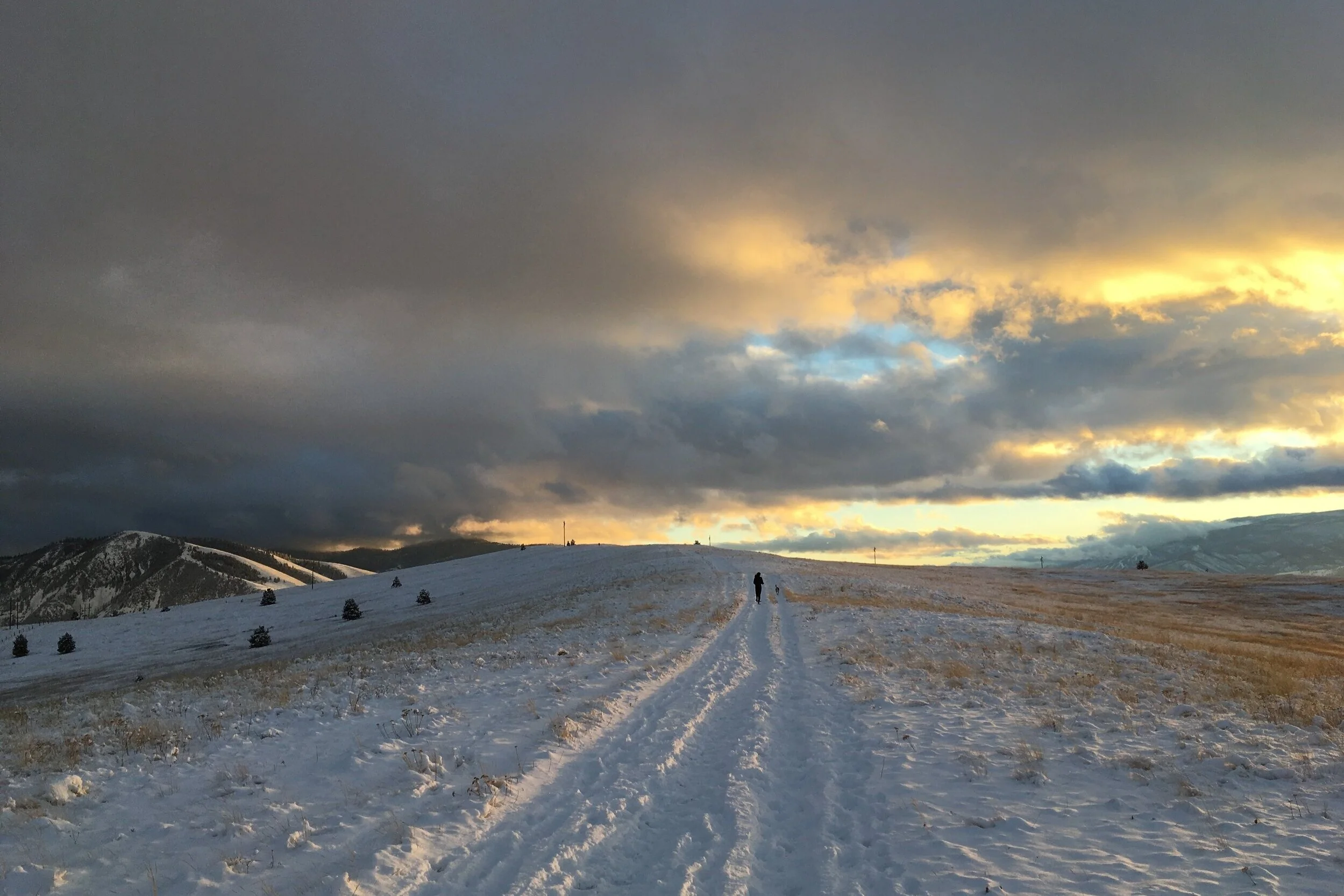 Kindness: An Aspiration for the New Year