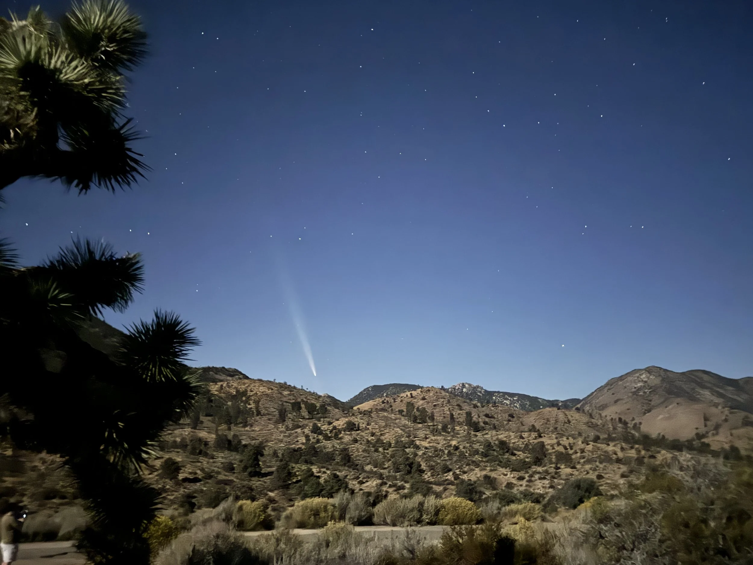 Where the Mountains Meet the Desert