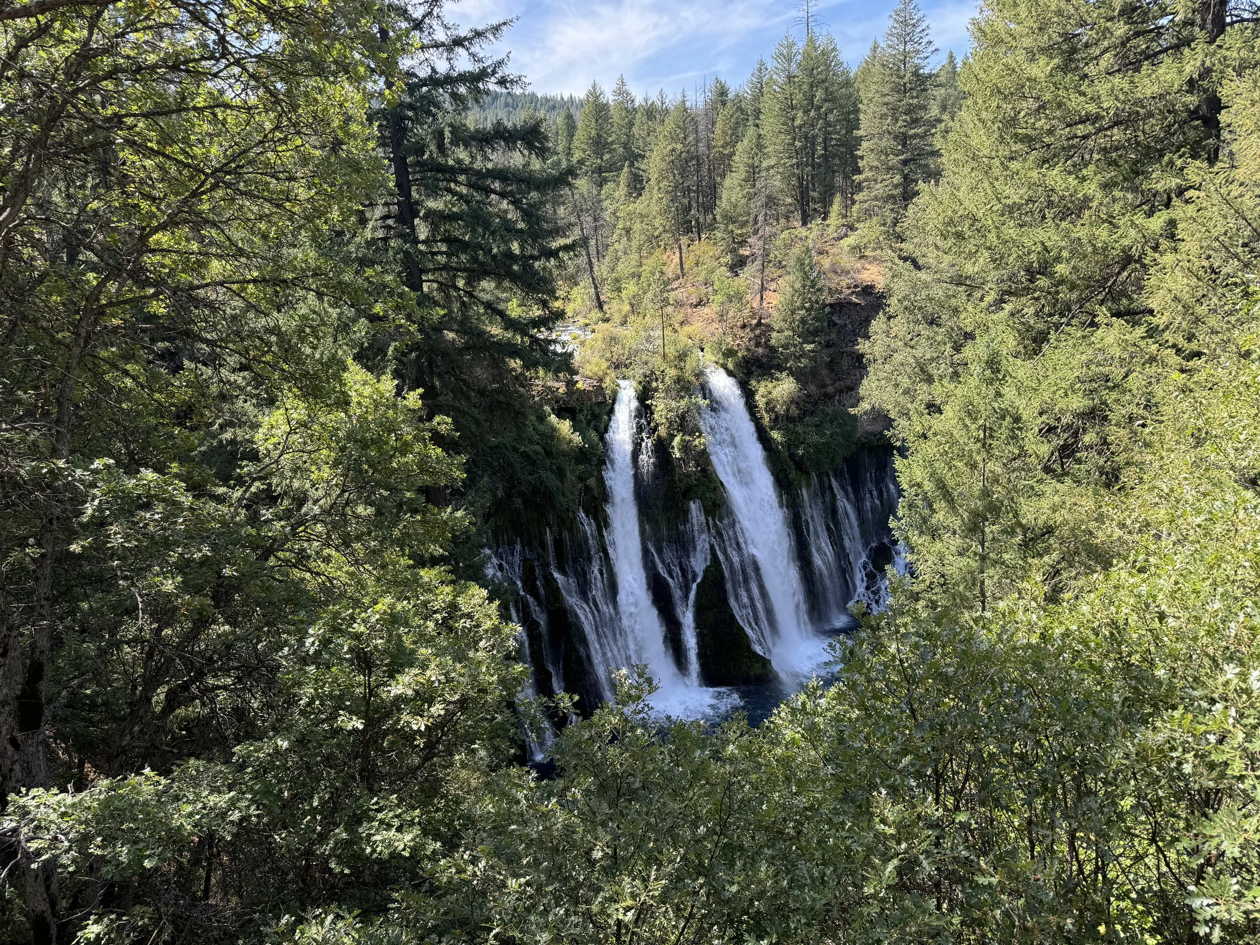 Getting out of Burney