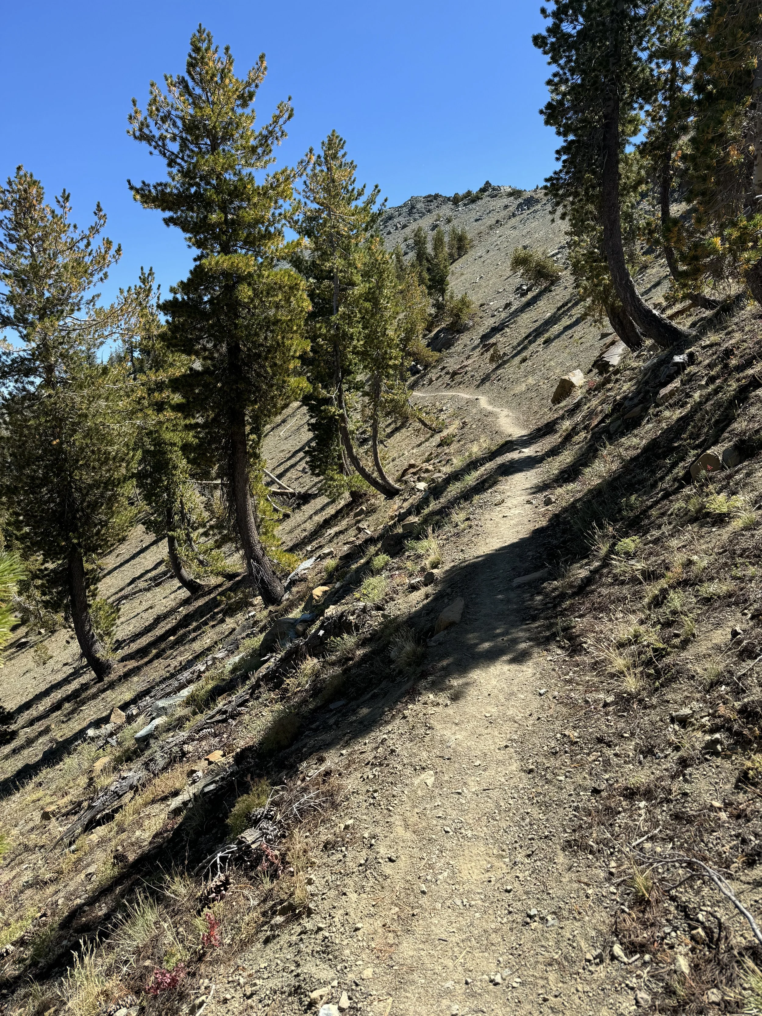 100 Miles of Solitude