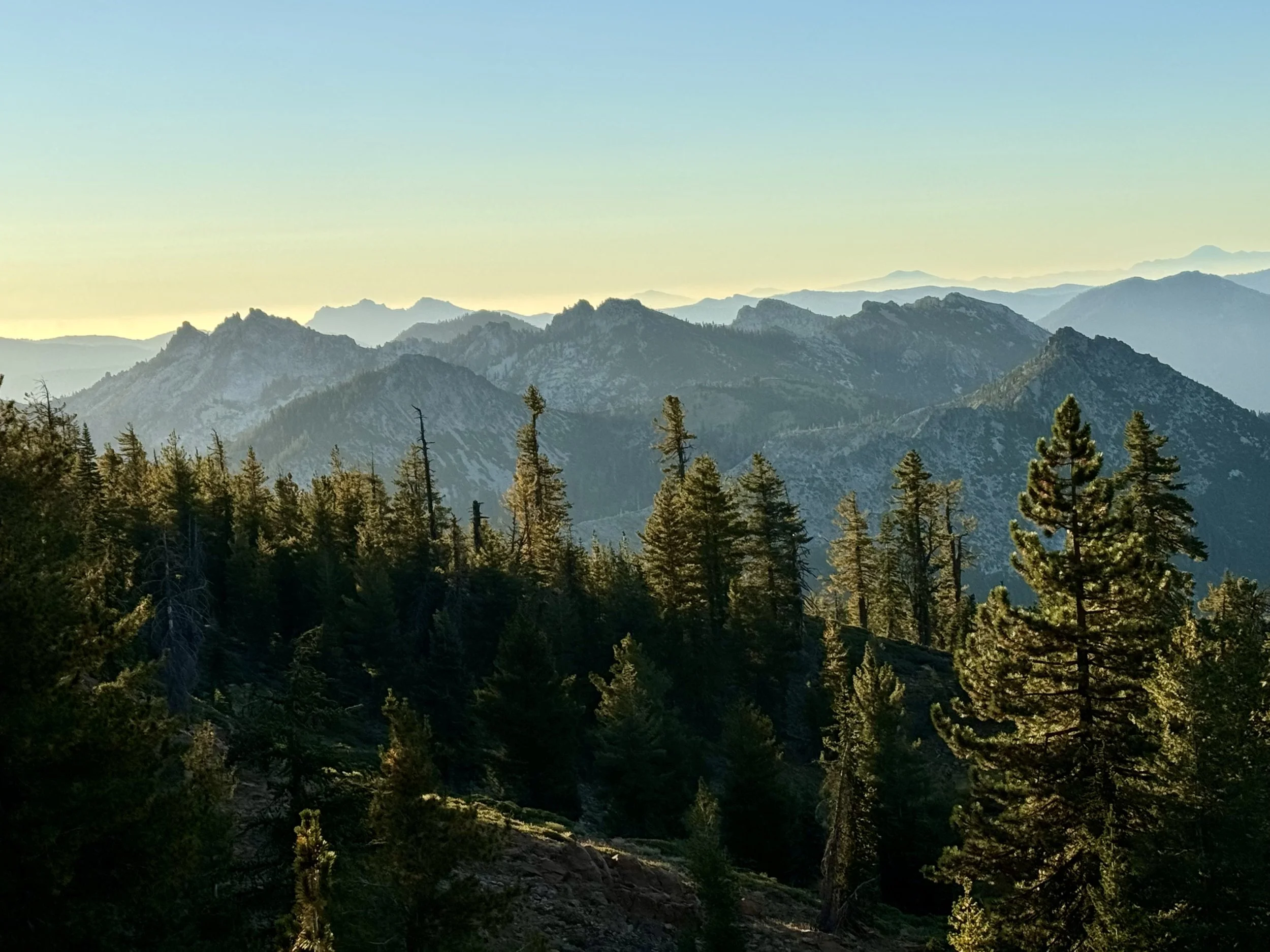 Notes from Southern Oregon 