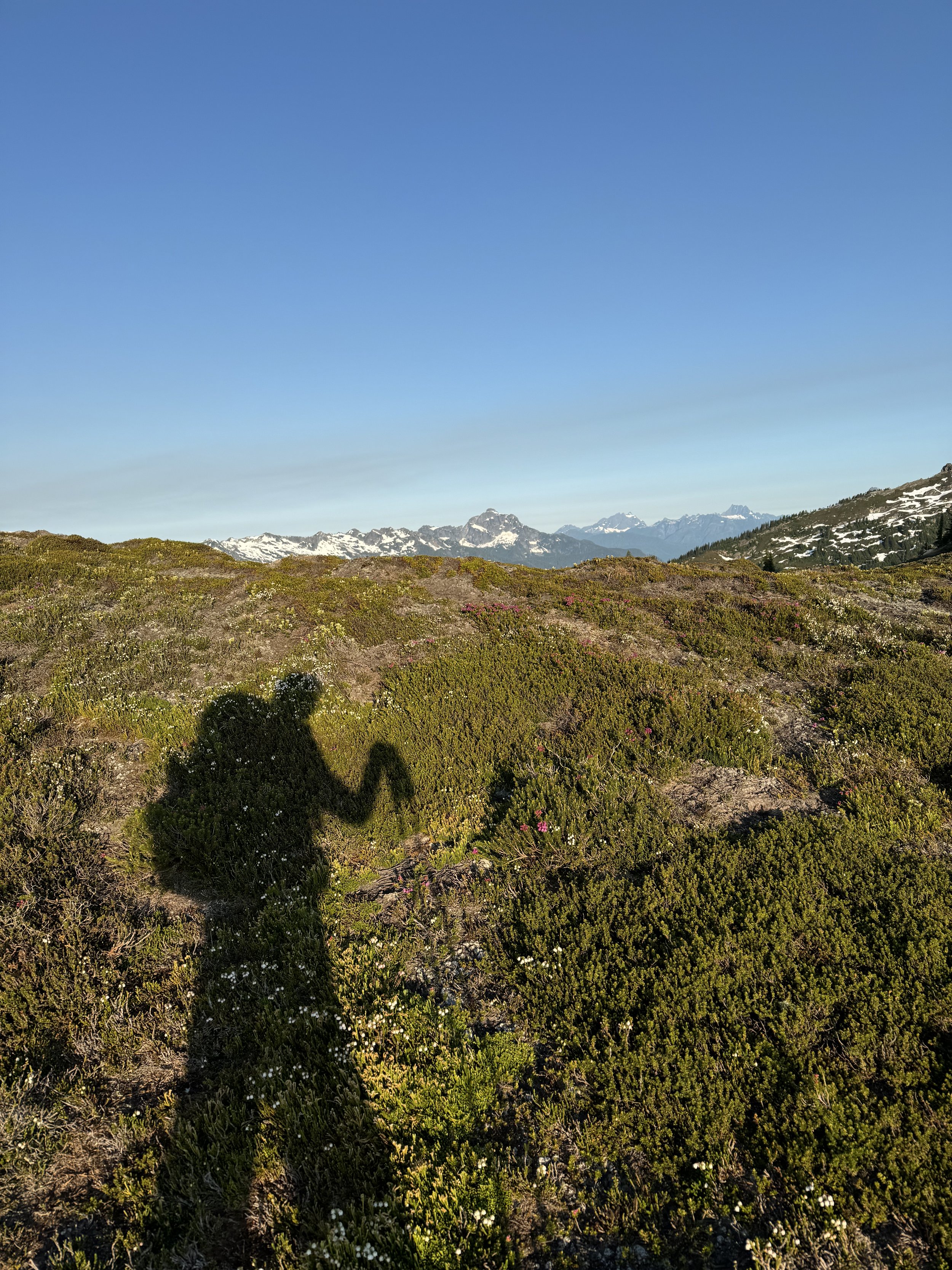 In Praise of Search and Rescue