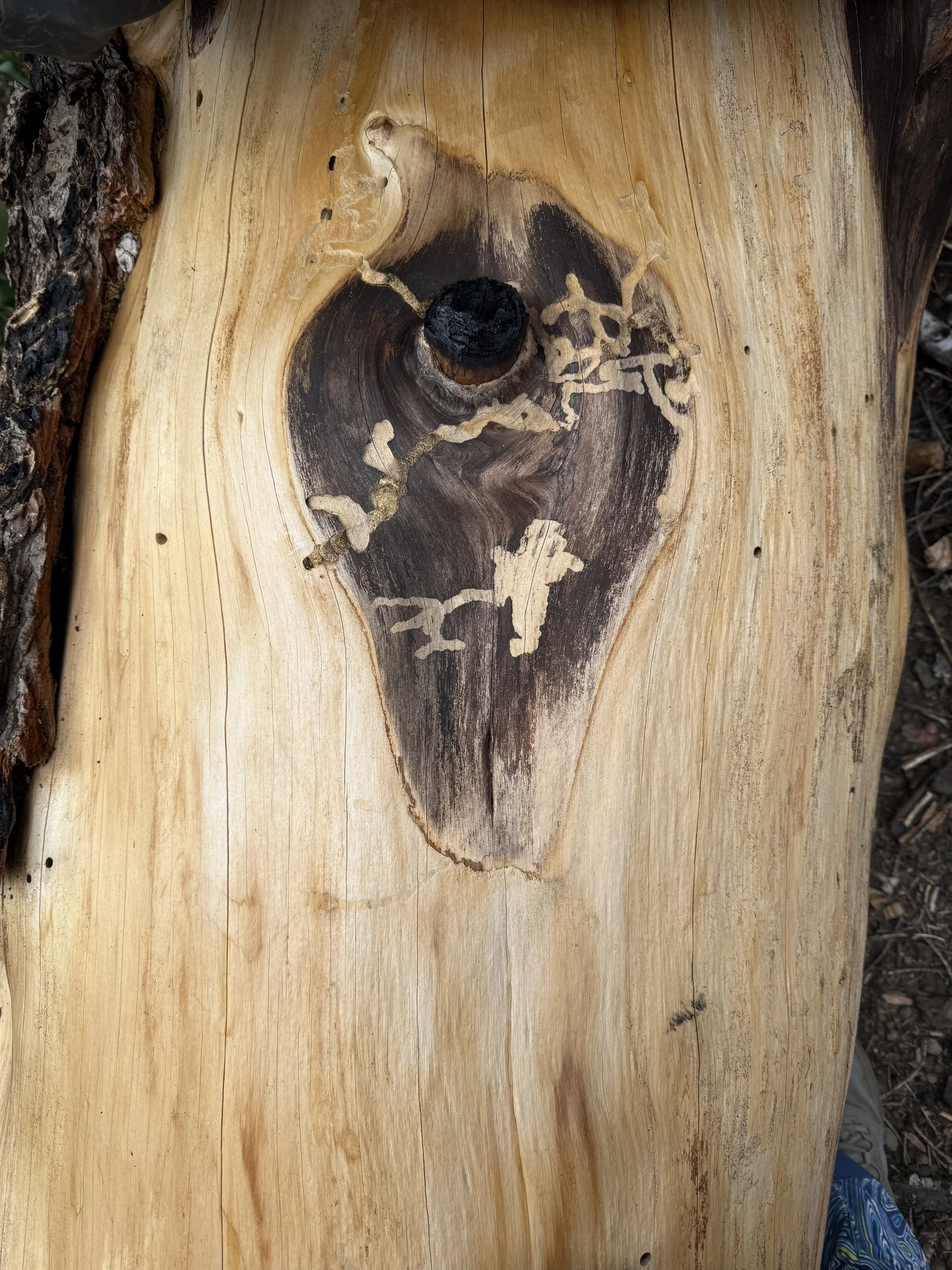 Back to Burney: Facing the places that scared me